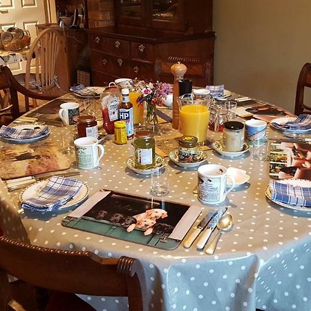 Bed and Breakfast Ty Carreg Llanwrtyd Wells Exteriér fotografie