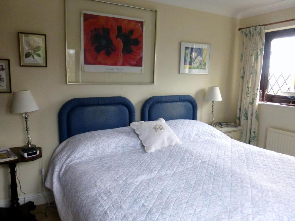 Bed and Breakfast Ty Carreg Llanwrtyd Wells Pokoj fotografie