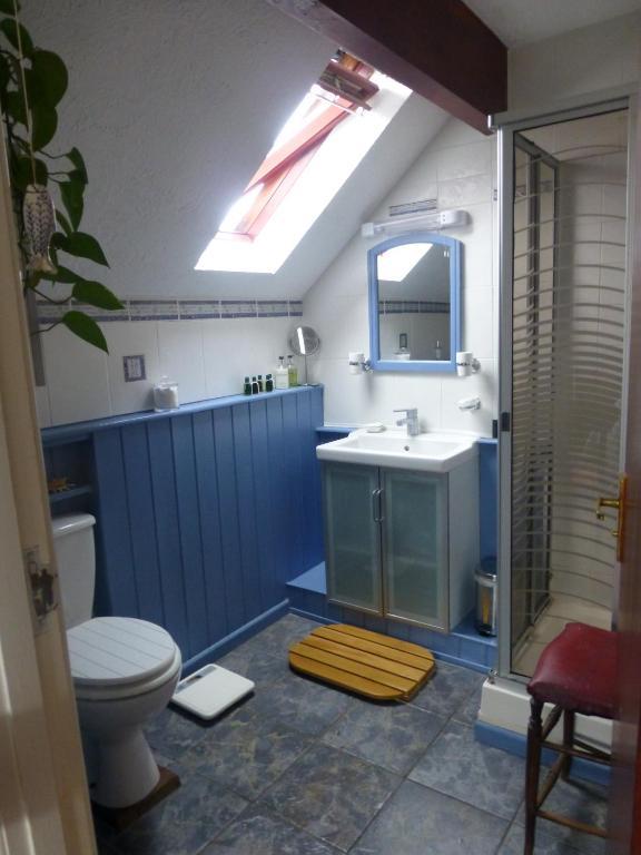Bed and Breakfast Ty Carreg Llanwrtyd Wells Pokoj fotografie