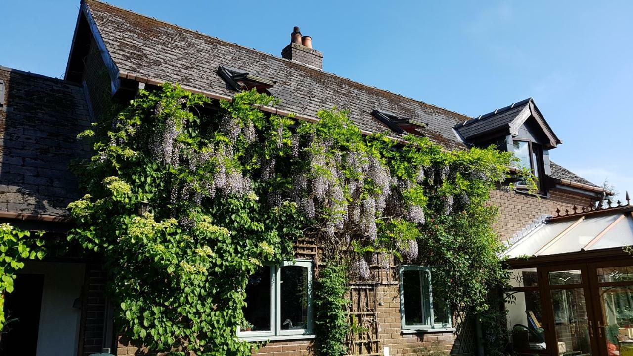 Bed and Breakfast Ty Carreg Llanwrtyd Wells Exteriér fotografie